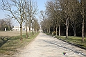 VBS_6389 - Villa Pisani - Stra (Venezia)